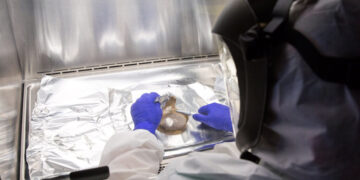 Nature Is Still Molding Human Genes, Study Finds