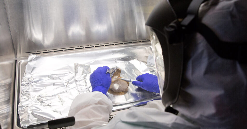 Nature Is Still Molding Human Genes, Study Finds