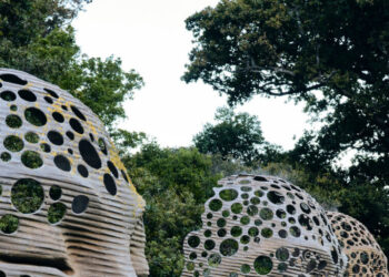 At Cape Town’s Stunning Gardens, Change Is in Bloom