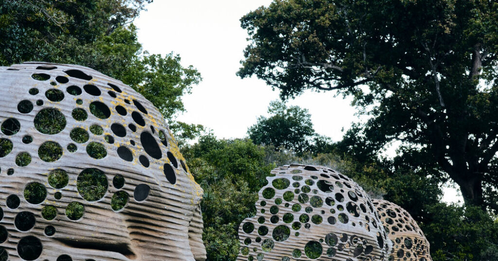 At Cape Town’s Stunning Gardens, Change Is in Bloom