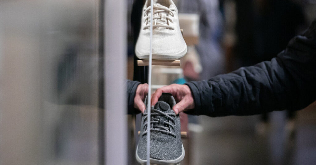 Sneaker Company Allbirds Plans to Pivot to A.I. Yes, A.I.
