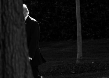 Who Doesn’t Get Trump Mixed Up With Jesus?