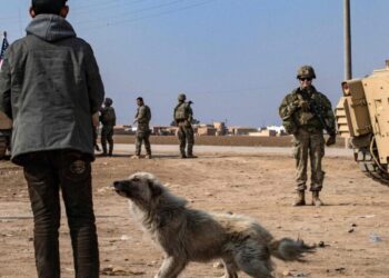 U.S. Completes Handover of Military Bases in Syria