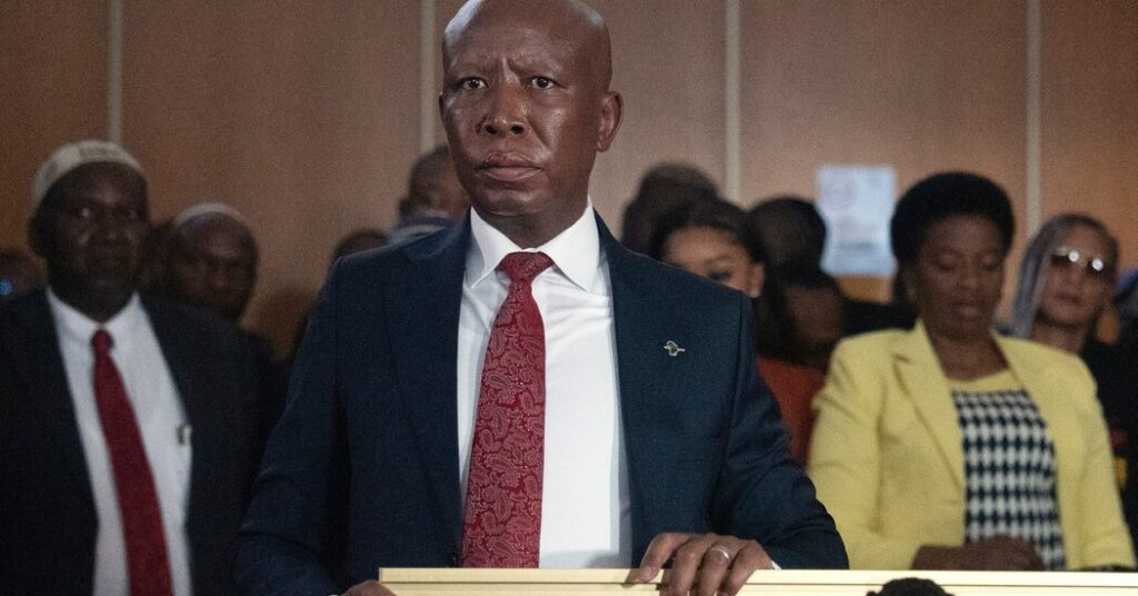 South African Politician Julius Malema Is Sentenced to 5 Years in Prison