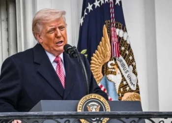 Data analyst aghast at latest Trump polling: ‘No joke – what a disaster’