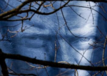 Glaring error spotted in Trump’s presidential library hype video: ‘Is he stupid?’