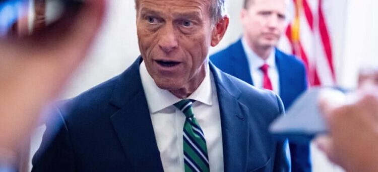 MAGA fans flip out on Trump for praising Senate leader: ‘Why are you thanking Thune?’