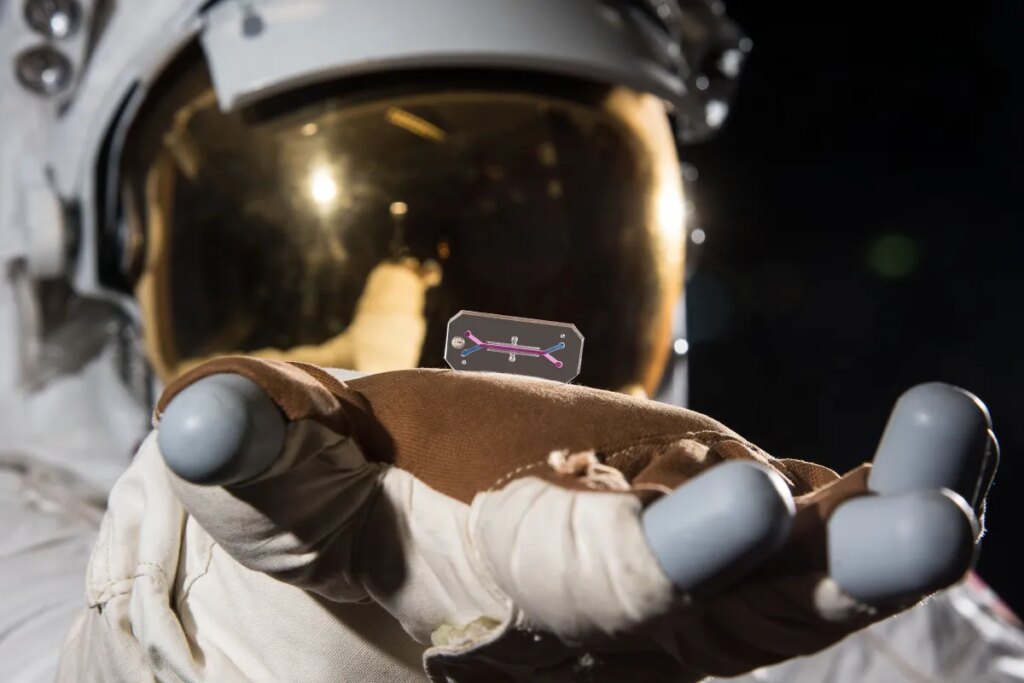 The Moon Astronauts Brought Along USB Stick-Sized Living Samples of Their Own Tissue