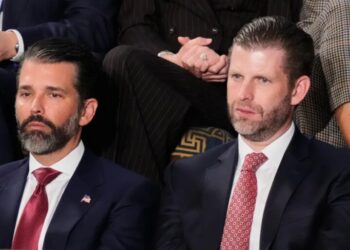 Trump sons to Gulf states: we’ve got some drone interception tech to sell you