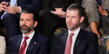 Trump sons to Gulf states: we’ve got some drone interception tech to sell you