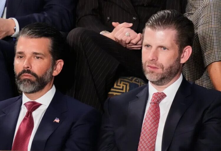 Trump sons to Gulf states: we’ve got some drone interception tech to sell you