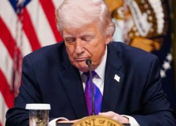 Trump’s ‘on the nose’ statement shows president has finally lost it: analysis