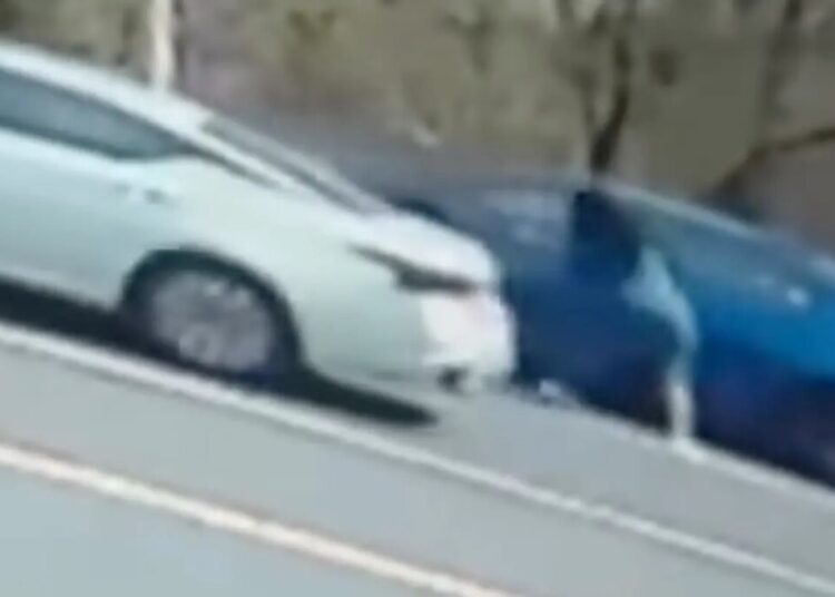 Video shows crazy road rage cat fight that has witness begging priest for ‘a blessing’