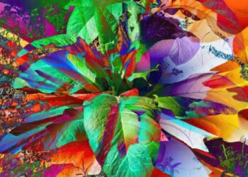 Scientists Gene Hacked a Plant So It Grows Five Types of Psychoactive Drugs at Once