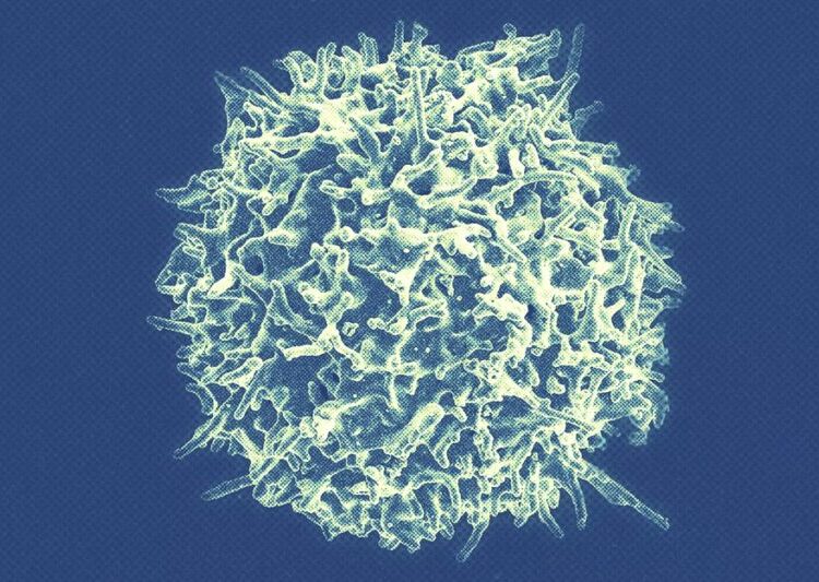 The Biggest Hope for Curing Autoimmune Disease