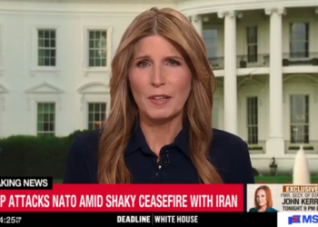 Nicolle Wallace in awe as Trump’s plan to punish NATO allies could accidentally backfire