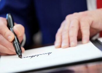 A day in the life of an imbecile