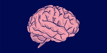 Women’s Brains Are a $1 Trillion Opportunity