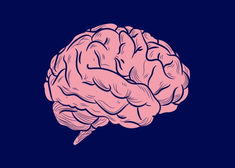 Women’s Brains Are a $1 Trillion Opportunity