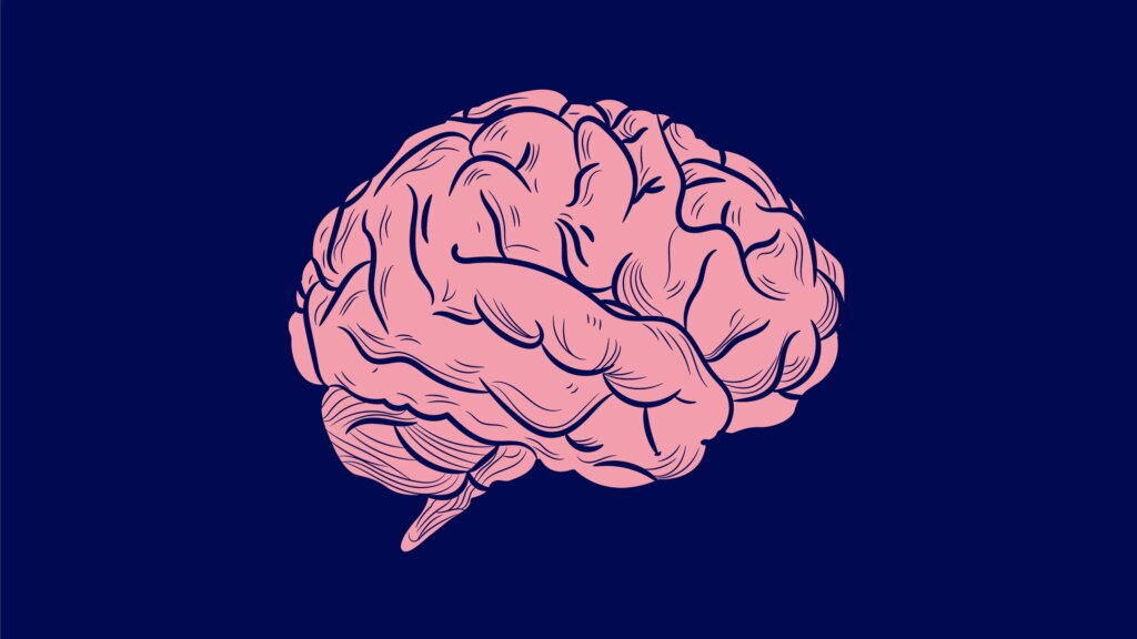 Women’s Brains Are a $1 Trillion Opportunity