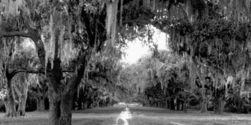 The Writers Who Can’t Let Go of the South