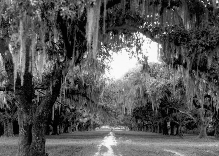 The Writers Who Can’t Let Go of the South