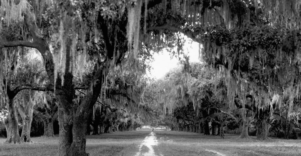 The Writers Who Can’t Let Go of the South