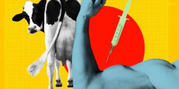 To Get Swole, Teens Are Pumping Themselves Full of Drugs Meant for Fattening Cows for the Slaughterhouse