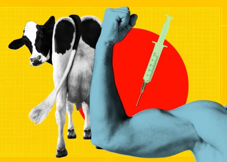 To Get Swole, Teens Are Pumping Themselves Full of Drugs Meant for Fattening Cows for the Slaughterhouse