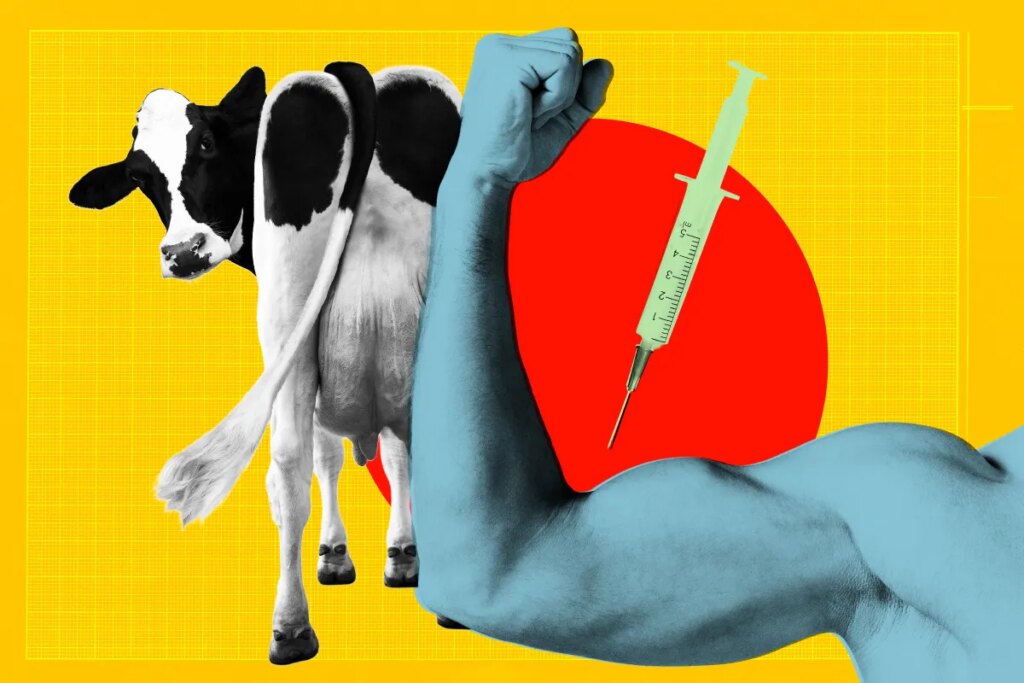 To Get Swole, Teens Are Pumping Themselves Full of Drugs Meant for Fattening Cows for the Slaughterhouse