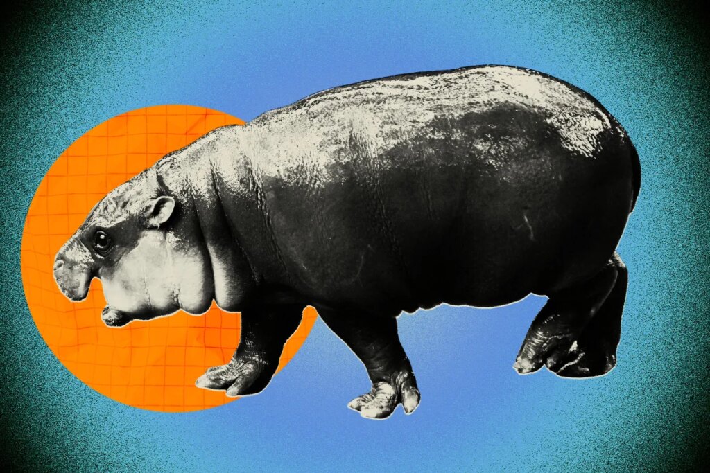 Man Punished for Breaking Into Moo Deng’s Zoo Enclosure