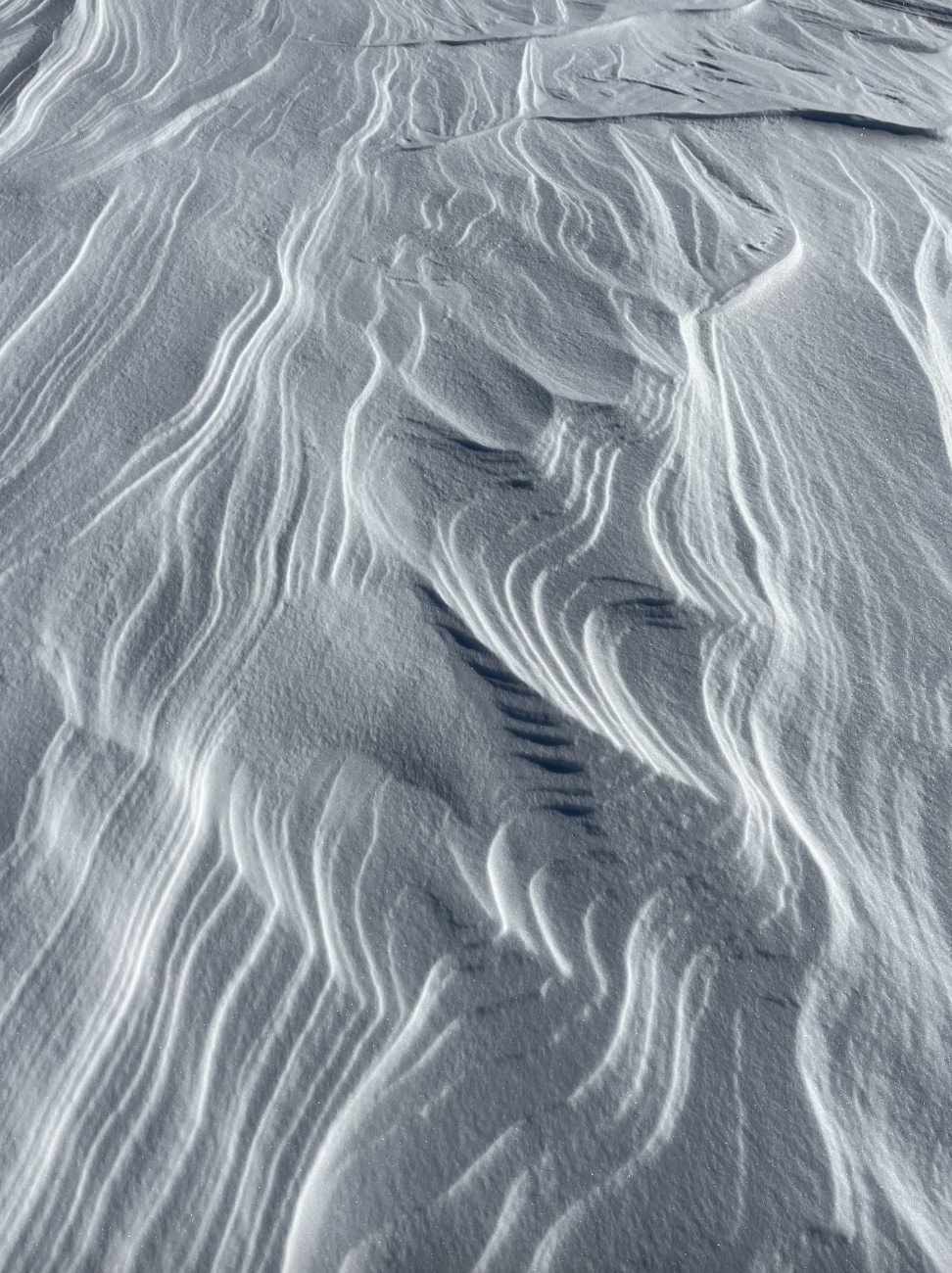 Melting snow on a lake