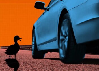 Self-Driving Car Runs Down Mother Duck Taking Care of Her Eggs, Flees Scene