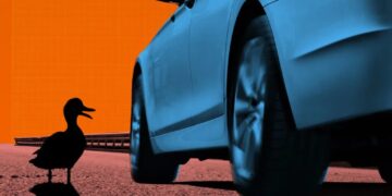 Self-Driving Car Runs Down Mother Duck Taking Care of Her Eggs, Flees Scene