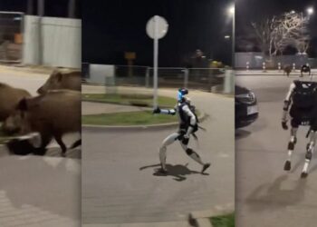 Video Shows Humanoid Robot Chasing a Pack of Wild Boars