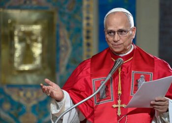 Catholic Leaders in U.S. Condemn Trump for Attack on Pope Leo