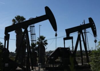 Most of Wall Street points to high oil prices as the driver of inflation. A maverick Johns Hopkins economist says they’re chasing the wrong culprit