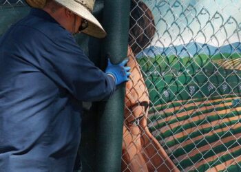Thinking Beyond ‘The Man on the Plinth’