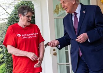 Trump tips $100 to DoorDash driver who dropped off 2 McDonald’s bags at White House