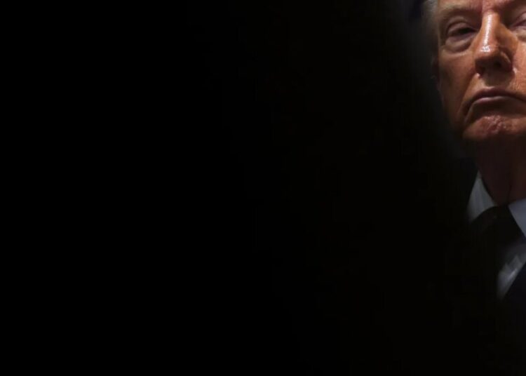 Expert flags telling citation in Trump’s Epstein card lawsuit dismissal ‘Speaks volumes’