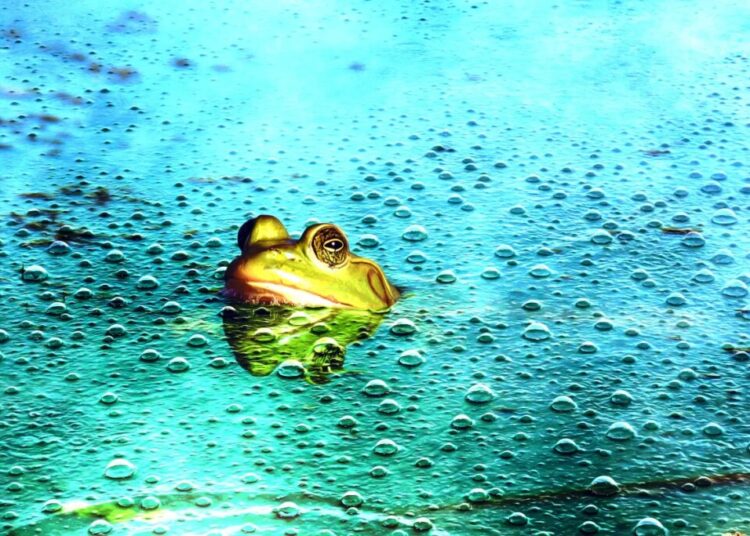 AI Use Appears to Have a “Boiling Frog” Effect on Human Cognition, New Study Warns