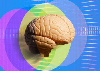 The Neuroscience of the Self