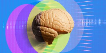 The Neuroscience of the Self