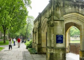 Teacher, blame thyself: Yale report savages Ivy League schools for destroying American trust in higher education