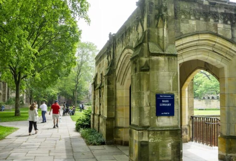 Teacher, blame thyself: Yale report savages Ivy League schools for destroying American trust in higher education