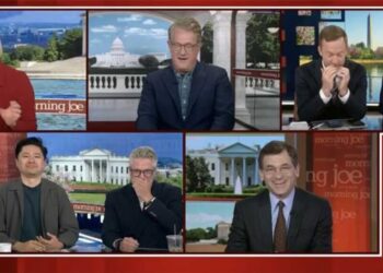 MS NOW panel loses it over report on RFK Jr raccoon mutilation: ‘What is wrong with him?’