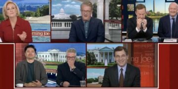 MS NOW panel loses it over report on RFK Jr raccoon mutilation: ‘What is wrong with him?’