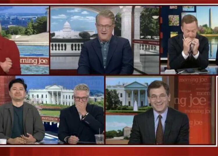 MS NOW panel loses it over report on RFK Jr raccoon mutilation: ‘What is wrong with him?’