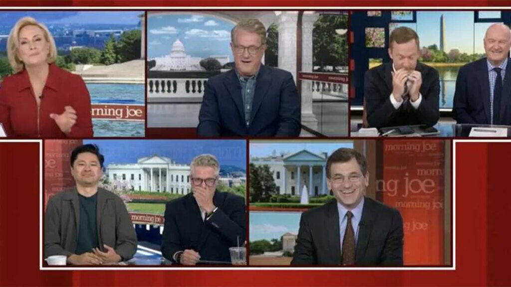 MS NOW panel loses it over report on RFK Jr raccoon mutilation: ‘What is wrong with him?’