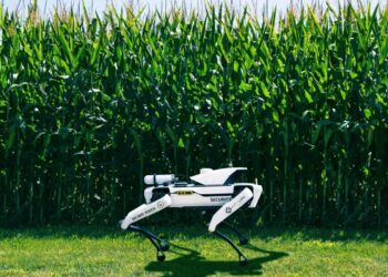 Robot Dogs Patrolling Precious Crops as Food Crisis Deepens